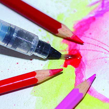 Pentel Arts Aquash Water Brush, Small Brush, Fine Point Tip, 1 Pack (FRHFBP) - style: Fine
