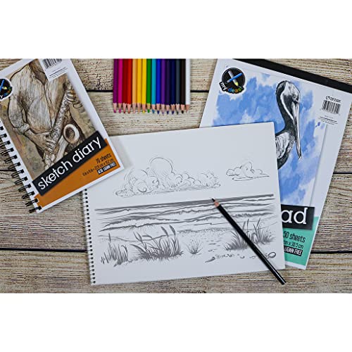 Top Flight Sketch Book, Heavy Back, Top Wire, 9 x 12 Inches, 30 Sheets (63201)