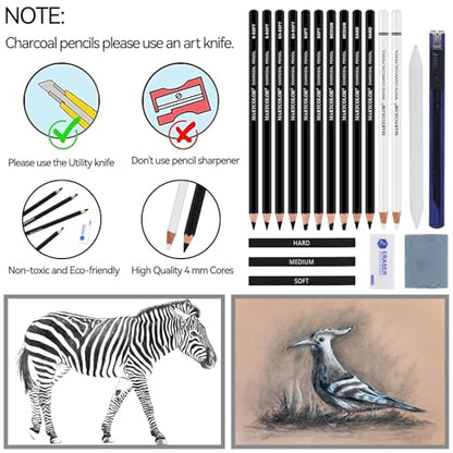 MARTCOLOR Charcoal Drawing Set, 19 Pieces, Black & White Charcoal Pencils - color: Black & White-19 Pack
