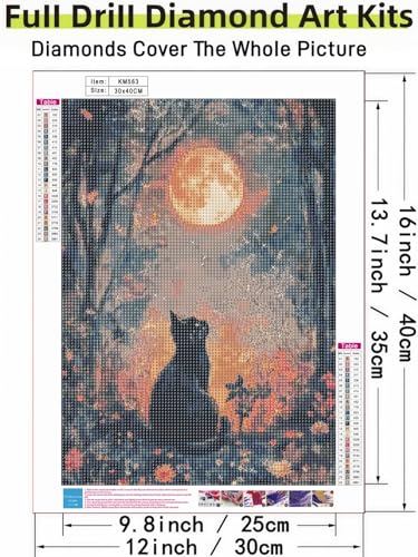 Black Cat Moon 5D DIY Diamond Painting Kits for Adults - color: KM563-1