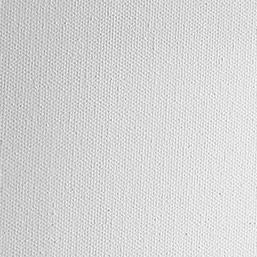 Practica Economy Stretched Cotton Canvas 20-Pack, 12x12 - Acid-Free Acrylic Primed Canvas for Acrylics, Pastels, Graphite, & More! - size: 12" x 12"