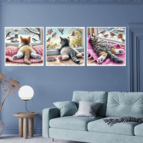 croshom Diamond Art Kits for Adults, 3 Packs Cat Diamond Art Painting Kits - color: Winter Cat, size: 3 packs-30*30cm