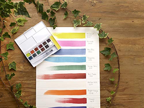 Derwent Inktense Paint 12 Pan Palette #2 (New) - size: 1 Count (Pack of 1), style: 12 Half Pans #02