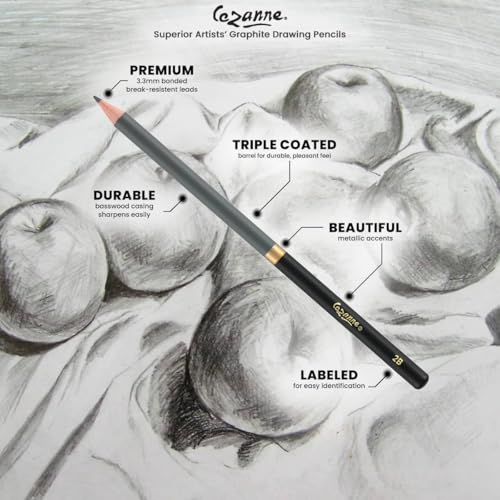 Cezanne Graphite Drawing Pencils Set - HB, Set of 12 Break-Resistant Graphite Lead, Easy-to-Sharpen Sketch Pencils, Master Artist Quality Graphite Pencils for Technical and Artistic Drawing - color: HB, size: Set of 12