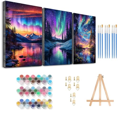 Axquilon 3 Packs Aurora Framed Paint by Numbers Kit for Adults 8x10in - color: 3 Pack Aurora with Easel