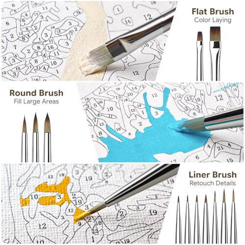 Bougimal 12 Pcs Detail Paint Brushes Set, Fine Detailing & No Shedding