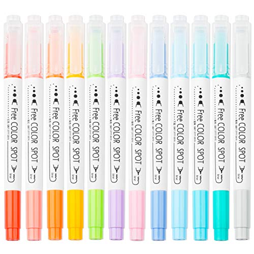 NiArt 12 Dual Tip Dot Markers, Quick-Dry for Art Journaling, 0.5mm-3mm