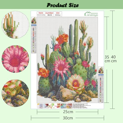 Lanzeyo Diamond Art Kits for Adults 4 Pack Succulent Diamond Painting Kits - color: 04 Succulent