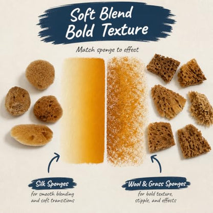 Natural Sea Sponges 10pk for Artists, 2"-4" Unbleached, Painting & Crafts