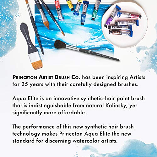 Princeton Aqua Elite Round Travel Brush, Synthetic, Short Handle, Size 10, 1 Count - size: Size 10
