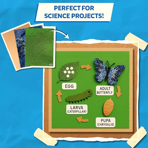 Skillmatics Life Science Construction Paper for Kids – DIY Craft Activity - color: Life Science, size: 60 Sheets