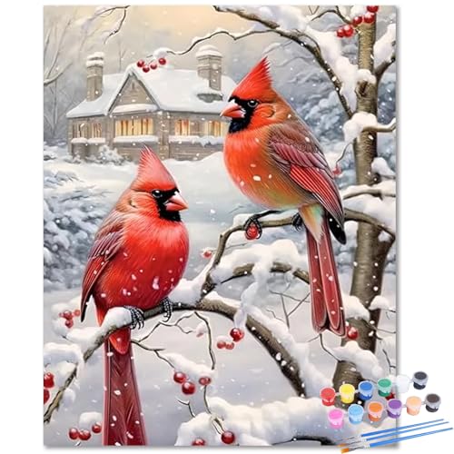 Cardinal Paint by Numbers Kit for Adults Canvas, Paint by Number Christmas - color: Cardinal