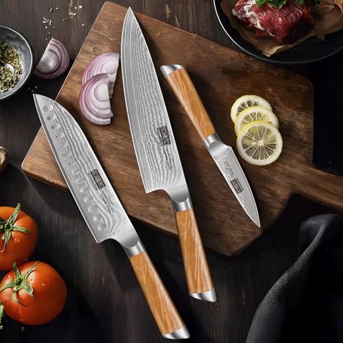 HOSHANHO Damascus Kitchen Knife Set 3PCS, Sharp Chef/Santoku/Fruit Knives - style: 3 Pieces Knife Set