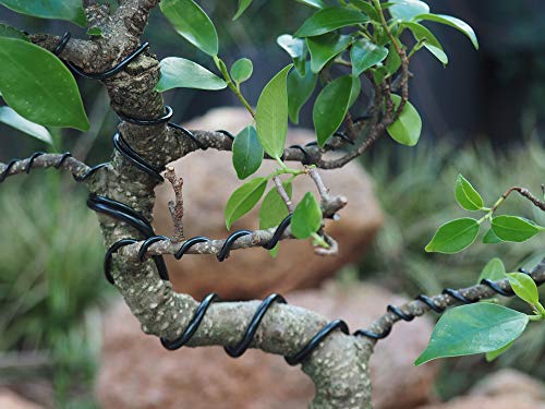 Anodized Aluminum 5.0mm Bonsai Training Wire 250g Large Roll (15.7 feet) - Choose Your Size and Color (5.0mm, Black) - color: Black, size: 5.0mm
