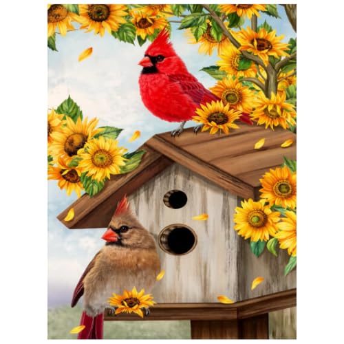 xcemhil Cardinal Diamond Art Kits for Adults, Bird 5D Diamond Painting Kits - color: 09-Bird, size: 12x16 inch