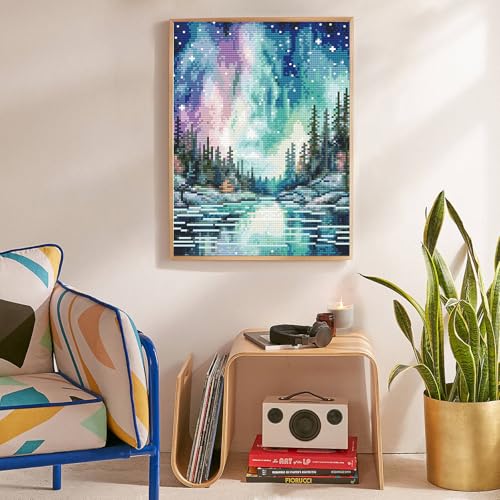 Diamond Art Kits for Adults, Aurora DIY 5D Diamond Painting for Beginners - color: BLKJDP11