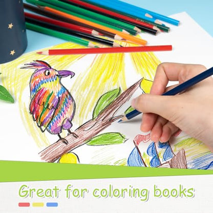 S & E TEACHER'S EDITION Colored Pencils, 240Pcs