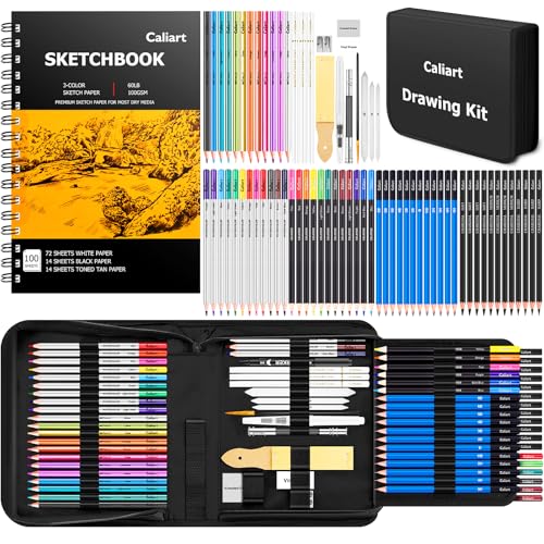 176PCS Art Supplies Sketching Kit, 34 Double Tip Brush Pens Art Markers