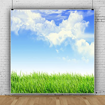 Leyiyi 10x10ft Spring Grassland Photography Background Gardening Plant Meadow Sky Cloud Light Spot North Prairie Backdrop Nature View Outdoor Activity Kids Birthday Photo Portrait Vinyl Studio Prop - size: 10x10ft