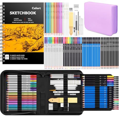 Caliart 176PCS Art Supplies Sketching Kit 34 Double Tip Brush Pens Art Markers