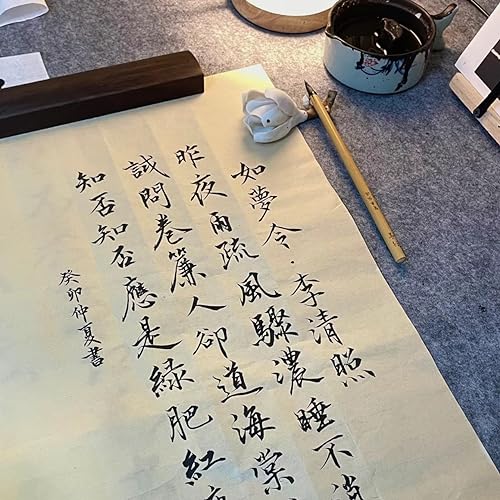 10-Piece Chinese Calligraphy Brush Set - Premium Writing Brushes with Roll-up Bamboo Brush Holder