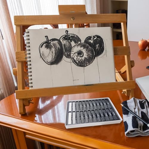 24 Pcs Compressed Charcoal Sticks, 25 Pcs Willow Charcoal Sticks Pencils for Sketching, Drawing, and Shading
