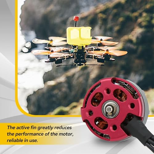 HERCHR RS2205 2300KV Brushless Motor Part, CW/CCW 3-4S RC Motors for FPV Racing Drone FPV Multicopter, Maximum Thrust 1024G