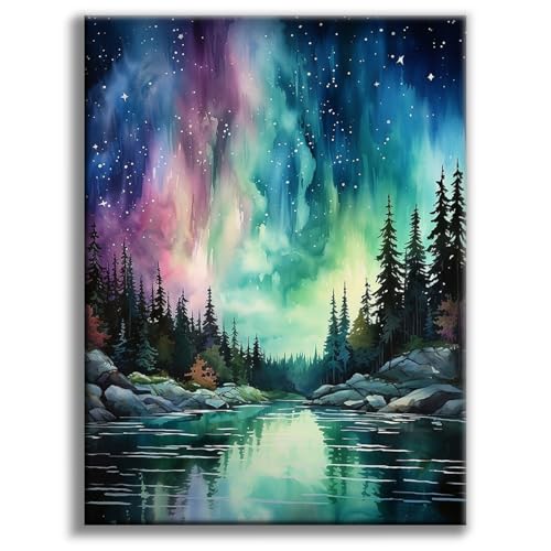 Diamond Art Kits for Adults, Aurora DIY 5D Diamond Painting for Beginners - color: BLKJDP11