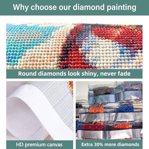 DIYCYCY Floral&Butterfly Diamond Art Kits for Adults Beginners 12x16 in