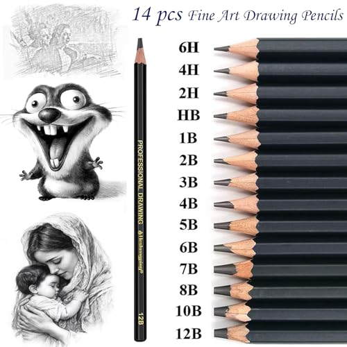 Heshengping, Sketching Pencil Drawing Pencils Set-26pcs, Art Supplies Drawing Kit,Graphite Charcoal Pro Draw Pencil Set,gift for Adults Beginners Artist for drawing sketching Copper Color Case - style: Copper | 26 Pack