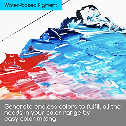 MEEDEN Acrylic Paint Set: 60ml/2oz*9 Colors Heavy Body Acrylic Paint Tubes