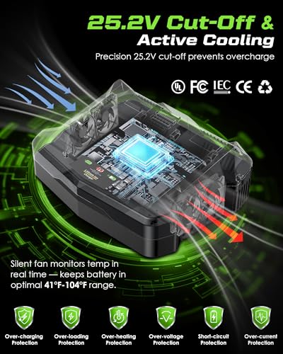 Replacement for Greenworks 24V Battery Charger, for Greenworks 24V Battery