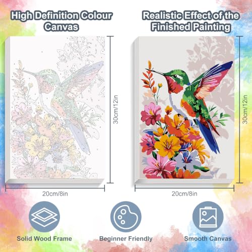 Hummingbird Framed Paint by Numbers Kit for Adults Beginner 8x12 inch - color: Frame-OP-US04