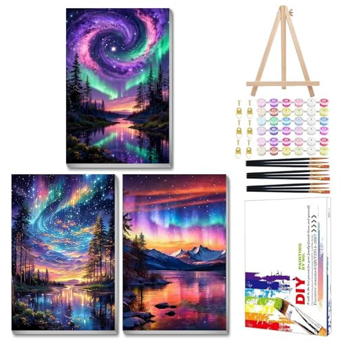 Mandun Aurora Paint by Numbers Kit for Adults, 3 Pack, 7.8x11.8 inch - color: 3 Pack Aurora