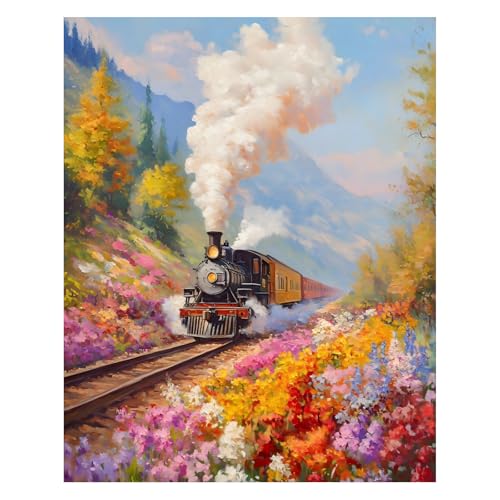 AUKELHJ Paint by Numbers Kit for Adults Beginner, Train, 16X20 Inch - color: 14-Train