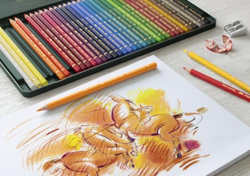 Polychromos 36 Pencil Metal Tin Set - size: 36 Count (Pack of 1), style: Polychromos Colour Pencil