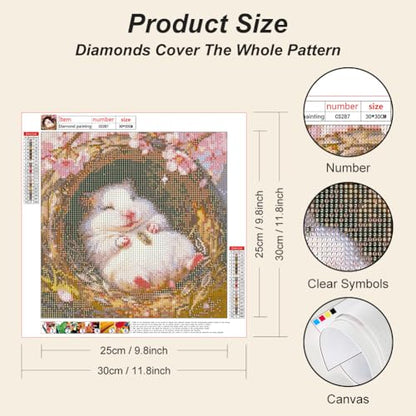 Acudotr Hamster Diamond Art Kits for Adults, DIY Home Decor, 12x12 Inch