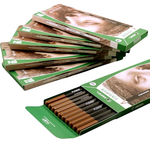 Marie's Professional Charcoal Drawing Set - Premium Artist Sketching Pencils for Portraits & Fine Art - Ideal for Professional Artists & Studio Creation(Red Brown) - style: Red Brown (10pcs)