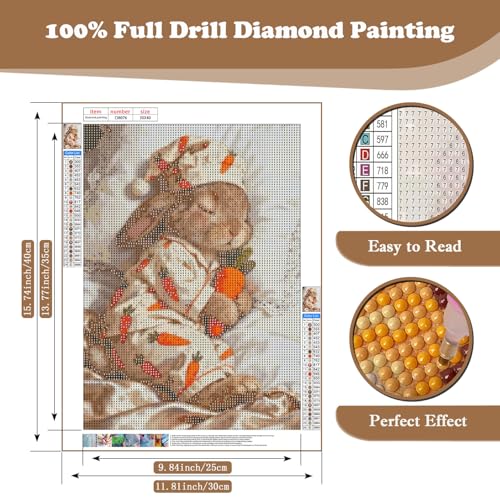 Cute Rabbit DIY Diamond Art Kits for Adults, 5D Diamond Painting Kits - color: CM076