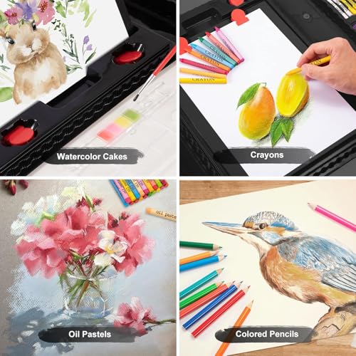 Art Supplies, 272 Pack Art Set Crafts Drawing Kit for Kids Girls Boys Teens - color: Black