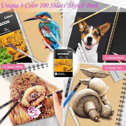 176PCS Art Supplies Sketching Kit, 34 Double Tip Brush Pens Art Markers