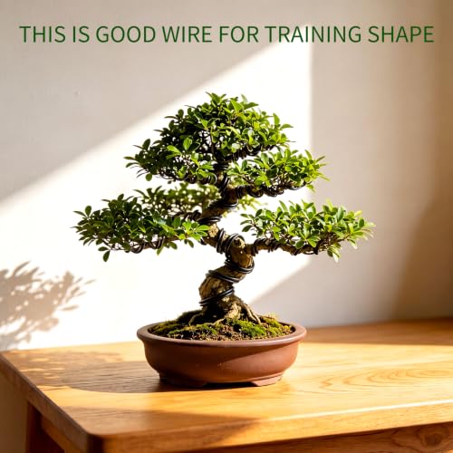 Mudder 5 Roll Bonsai Training Wire Aluminum 1/1.5/2/4/6mm Black - color: Black, size: 1/1.5/2/4/6mm