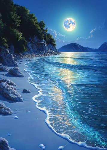 ZeeLionArt Diamond Art Kit, Beach Moonlight Landscape Scenery, 12 x 16 Inch - color: DP04320
