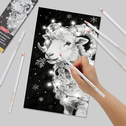 PANDAFLY White Charcoal Pencils Set, 8 Pack, Sketch Highlight Pencils - color: White