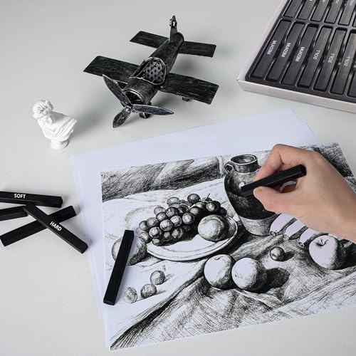 24 Pcs Compressed Charcoal Sticks, 25 Pcs Willow Charcoal Sticks Pencils for Sketching, Drawing, and Shading