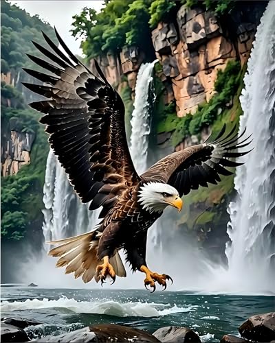 askkqtx Eagle Paint by Numbers Kit for Adults Unframed 16x20 Inch - color: MT21928