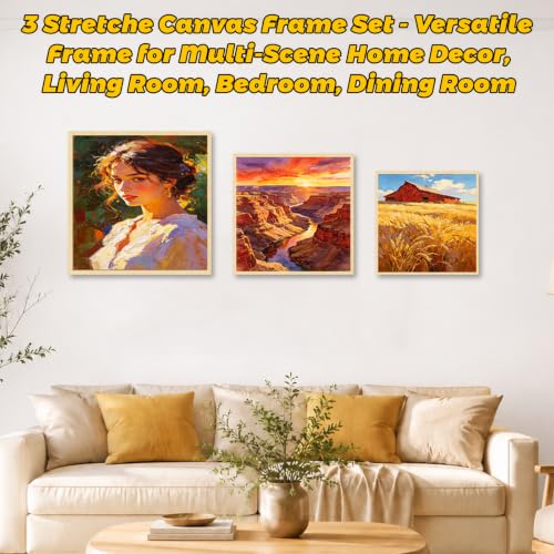3 Pack Floater Frame Canvas with 8x8,10x10,12x12inch Triple Primed Canvas - size: 3pk-3Size Canvas