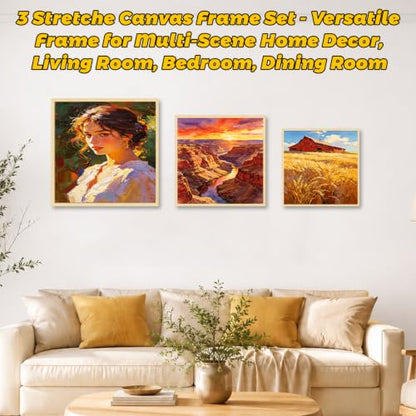 3 Pack Floater Frame Canvas with 8x8,10x10,12x12inch Triple Primed Canvas - size: 3pk-3Size Canvas