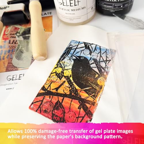 Acrylic Matte Medium, Transparent Acrylic Paint, Professional Matte Gel Medium for Gel Plate Printing Art, 280mL, 9.5-oz - color: Clear