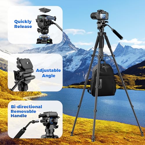 VICTIV 75” Camera Tripod, Tripod for Video Camera with Carry Bag, Black - color: Black, size: 75 Inch